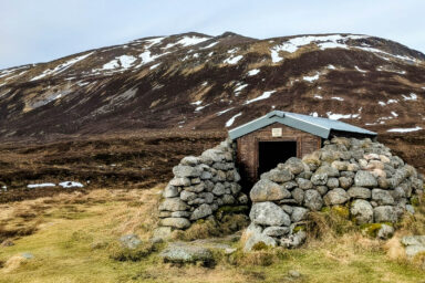Cairngorms – na Dachu Szkocji