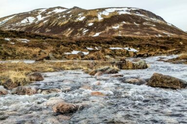 Cairngorms – na Dachu Szkocji