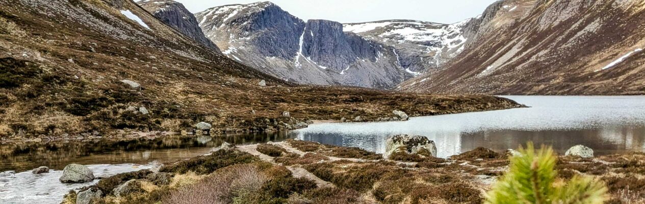 Cairngorms – na Dachu Szkocji