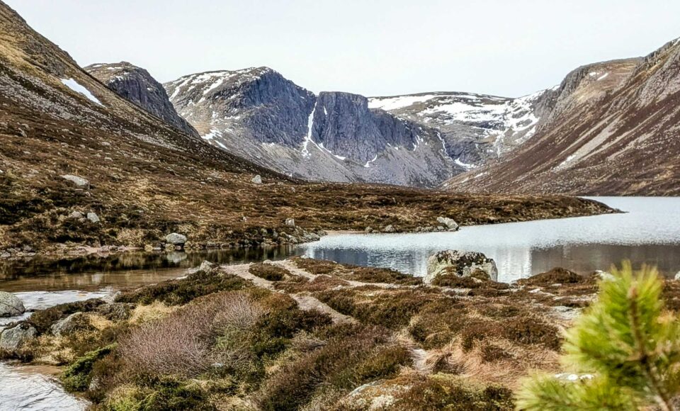 Cairngorms - na Dachu Szkocji