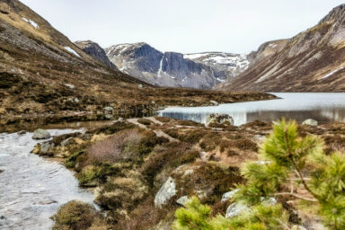 Cairngorms – na Dachu Szkocji