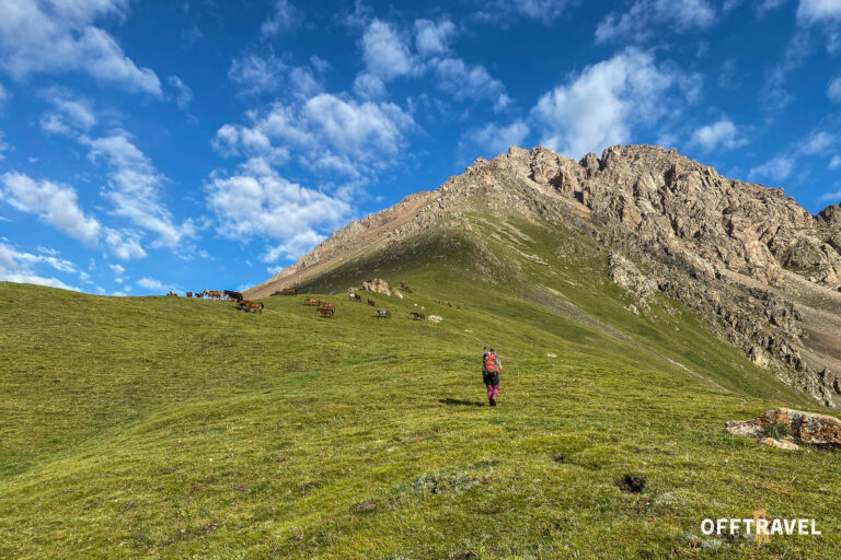 Szlakami Nomadów