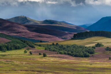 Cairngorms – na Dachu Szkocji