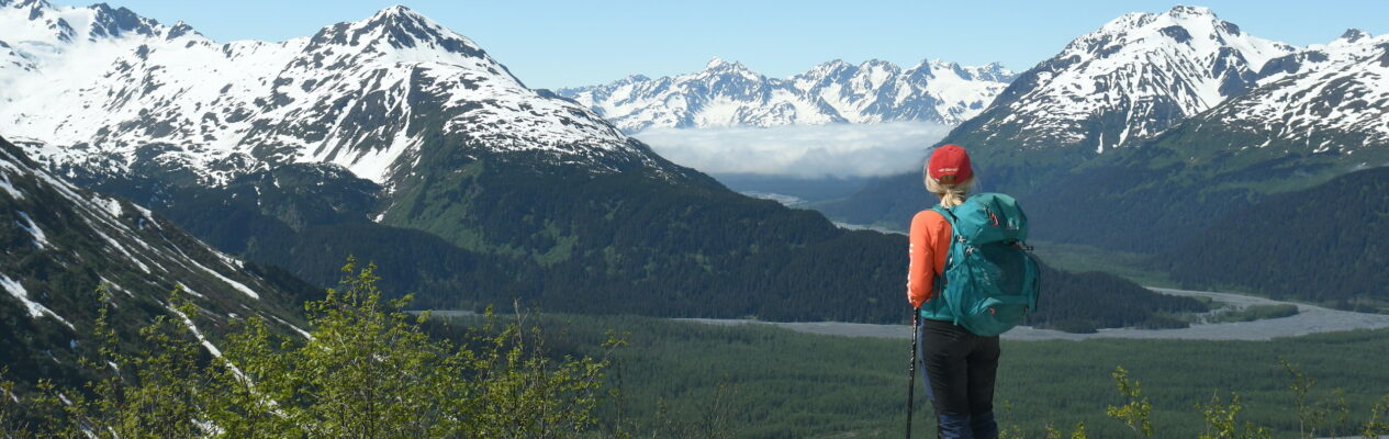 Żywioły Śródziemia