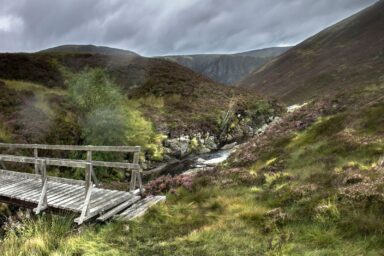 Cairngorms – na Dachu Szkocji