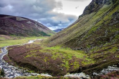 Cairngorms – na Dachu Szkocji