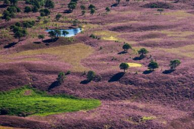 Cairngorms – na Dachu Szkocji