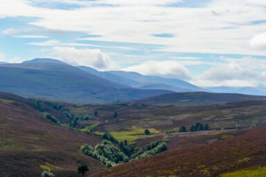 Cairngorms – na Dachu Szkocji