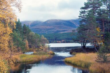 Cairngorms – na Dachu Szkocji