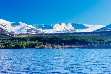 Cairngorms – na Dachu Szkocji