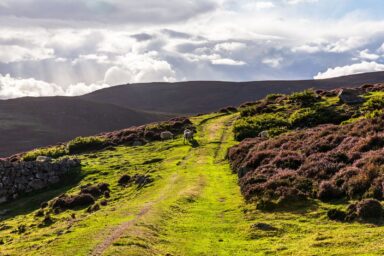 Cairngorms – na Dachu Szkocji