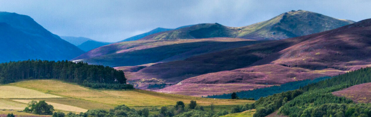 Cairngorms – na Dachu Szkocji