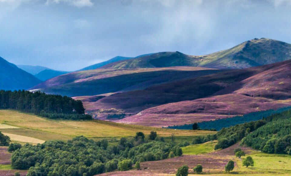 Cairngorms - na Dachu Szkocji