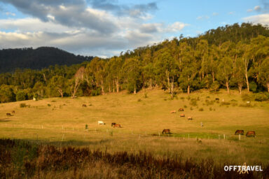 Wzdłuż Śnieżnej Rzeki