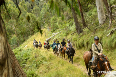 Wzdłuż Śnieżnej Rzeki