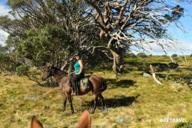 Wzdłuż Śnieżnej Rzeki