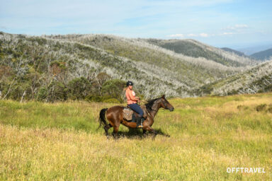 Wzdłuż Śnieżnej Rzeki