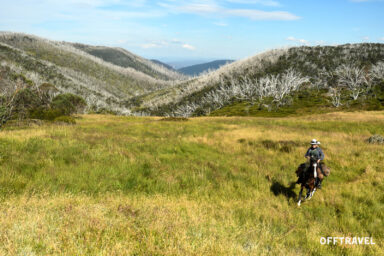 Wzdłuż Śnieżnej Rzeki