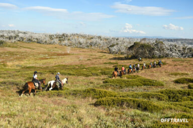 Wzdłuż Śnieżnej Rzeki