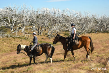 Wzdłuż Śnieżnej Rzeki