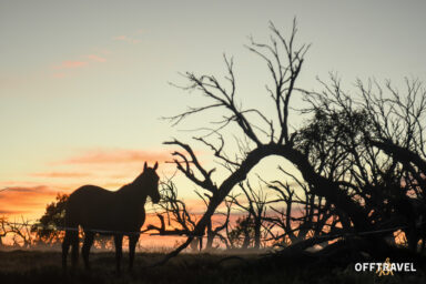 Wzdłuż Śnieżnej Rzeki