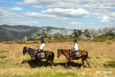 Wzdłuż Śnieżnej Rzeki