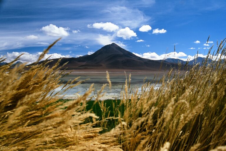 Tajemnice Altiplano