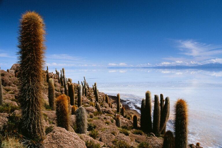 Tajemnice Altiplano
