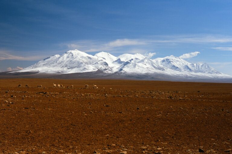 Tajemnice Altiplano