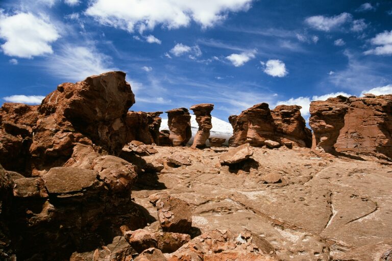 Tajemnice Altiplano