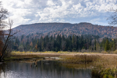 E-bikiem z Nomads’ Hill