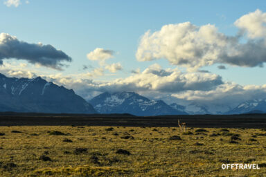 Gringo w Patagonii