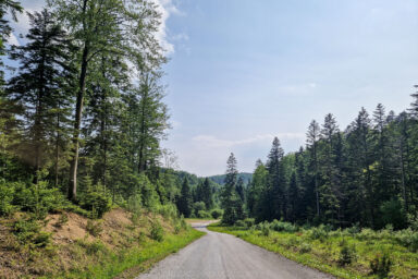 E-bikiem z Nomads’ Hill