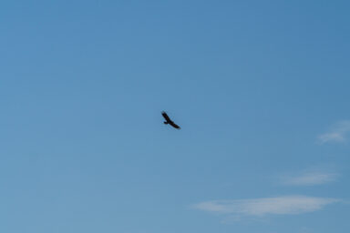 Wilcze Góry – W Poszukiwaniu Dzikości