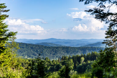 Wilcze Góry – W Poszukiwaniu Dzikości