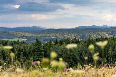 Wilcze Góry – W Poszukiwaniu Dzikości