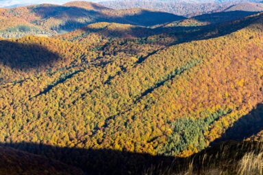 Wilcze Góry – W Poszukiwaniu Dzikości