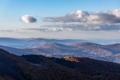 Wilcze Góry – W Poszukiwaniu Dzikości