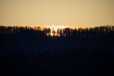 Wilcze Góry – W Poszukiwaniu Dzikości