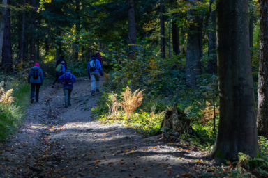 Wilcze Góry – W Poszukiwaniu Dzikości