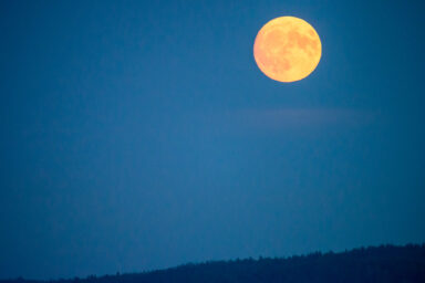 Wilcze Góry – W Poszukiwaniu Dzikości