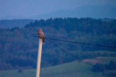 Wilcze Góry – W Poszukiwaniu Dzikości