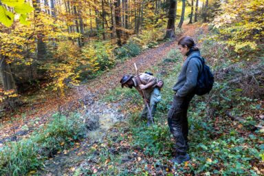 Wilcze Góry – W Poszukiwaniu Dzikości