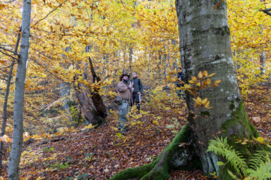 Wilcze Góry – W Poszukiwaniu Dzikości