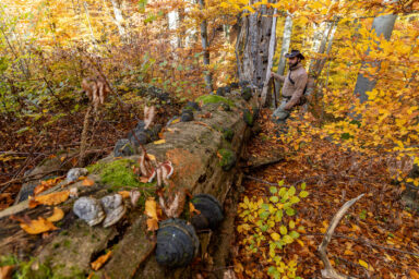 Wilcze Góry – W Poszukiwaniu Dzikości