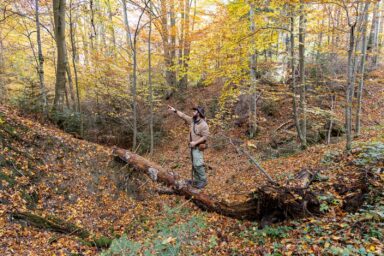 Wilcze Góry – W Poszukiwaniu Dzikości