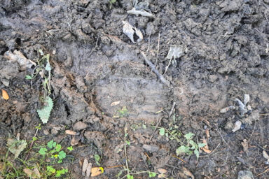 Wilcze Góry – W Poszukiwaniu Dzikości