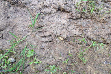 Wilcze Góry – W Poszukiwaniu Dzikości