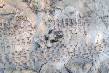 Wilcze Góry – W Poszukiwaniu Dzikości