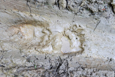 Wilcze Góry – W Poszukiwaniu Dzikości